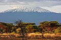 View of Kilimanjaro Mountain from Amboseli