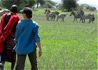Wildebeest migration – Masai Mara River Crossing Safari