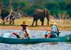 Walking and canoeing Safari - Arusha National Park