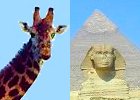 Highlights of Africa, Kenya and Egypt