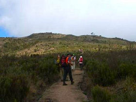 On the trail up the Marangu Route, Kilimanjaro