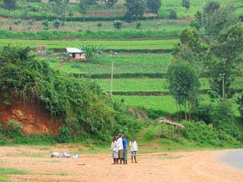 Uganda Scene
