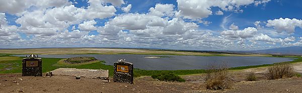 Landscape in Amboseli