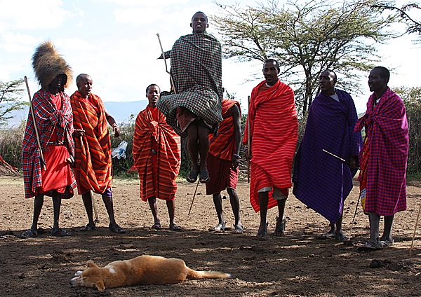 Maasai warrior doing the jump dance