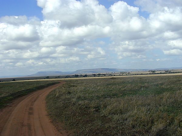 Serengeti Plains, Tanzania