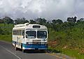 Lilongwe To Salima Bus