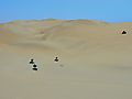 Quad-biking On Sand Dunes, Namibia