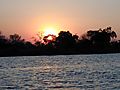 Sunset  Okavango River, Namibia