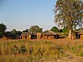 Village Scene In Malawi