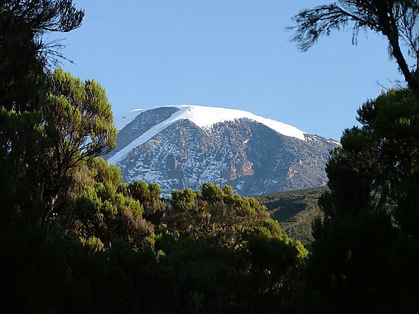 View Of Mount Kilimanjaro From Last Camp On Way Down
