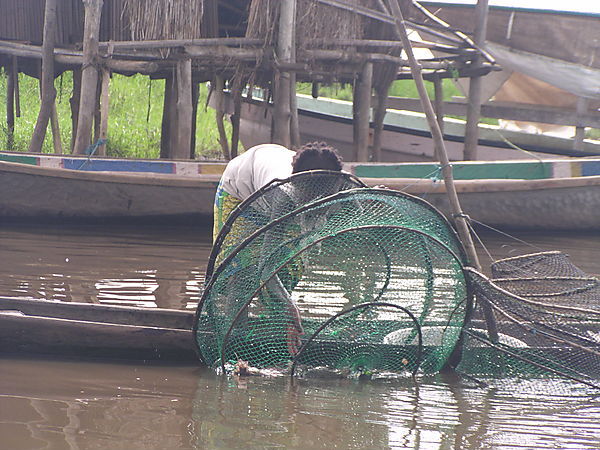 Fishing In Ganvié.