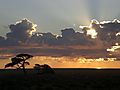 Namibian Sunrise