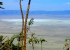 Tanzania's Ngorongoro Crater and Lake Manyara  Safari