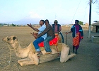 Kenya Camel Safari : 7 Days