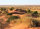 Kalahari Experience in Namibia